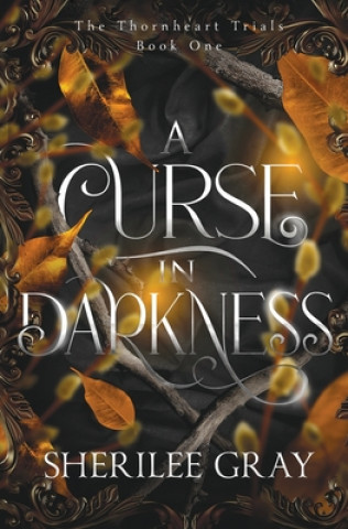 Kniha Curse in Darkness Sherilee Gray
