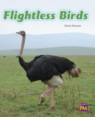 Knjiga Flightless Birds: Leveled Reader Turquoise Level 18 