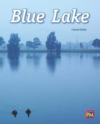 Buch Blue Lake: Leveled Reader Purple Level 19 