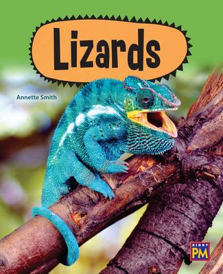 Book Lizards: Leveled Reader Purple Level 20 