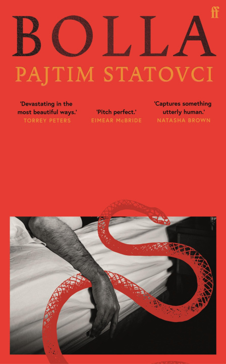 Книга Bolla Pajtim Statovci