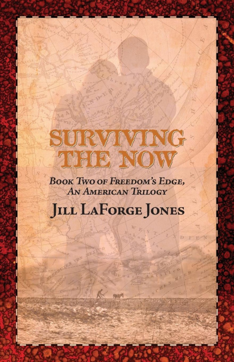 Knjiga Surviving the Now Jill Jones