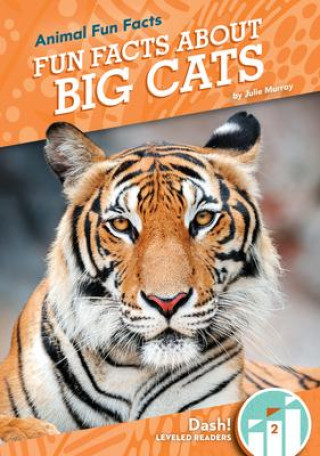 Buch Fun Facts about Big Cats Julie Murray