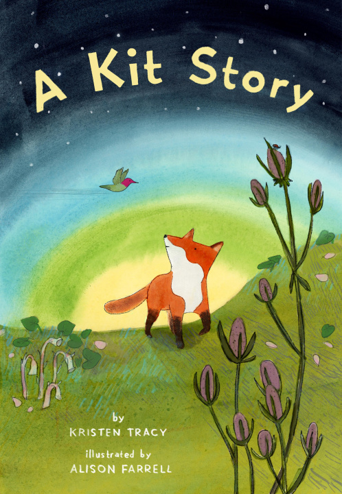 Buch Kit Story Kristen Tracy