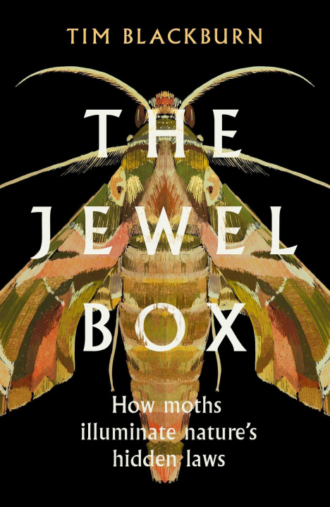 Βιβλίο Jewel Box TIM BLACKBURN