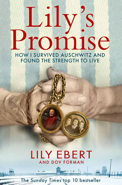 Kniha Lily's Promise 