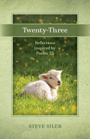 Βιβλίο Twenty-Three Steve Siler
