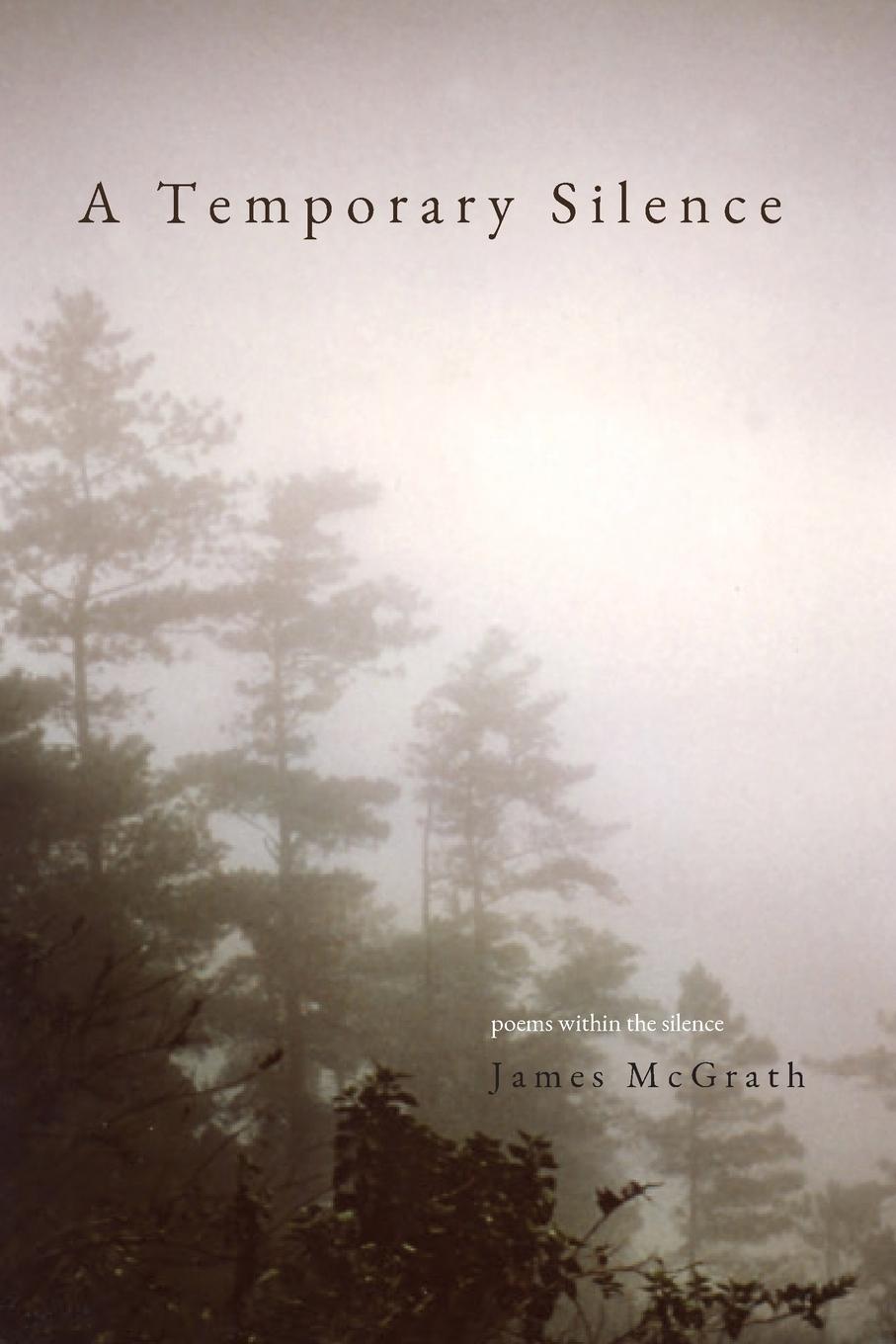 Book Temporary Silence James McGrath