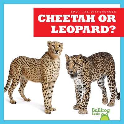 Kniha Cheetah or Leopard? N/A