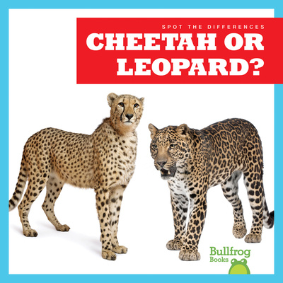 Knjiga Cheetah or Leopard? N/A