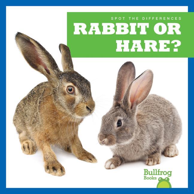 Knjiga Rabbit or Hare? N/A