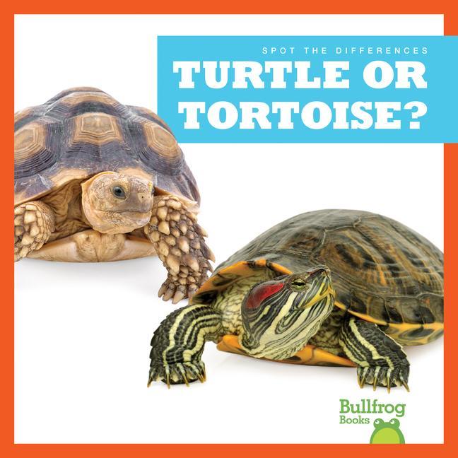 Knjiga Turtle or Tortoise? N/A