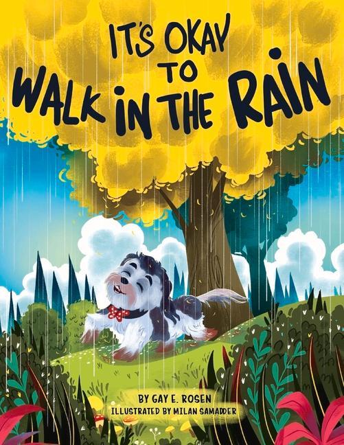 Kniha It's Okay to Walk in the Rain Gay E. Rosen