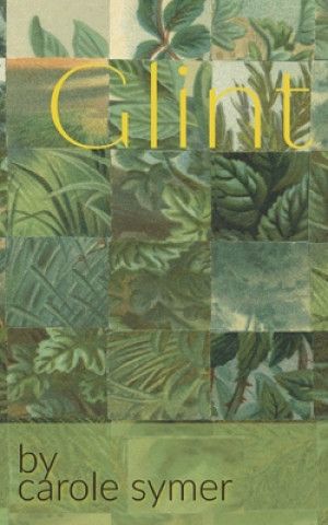 Knjiga Glint Carole Symer