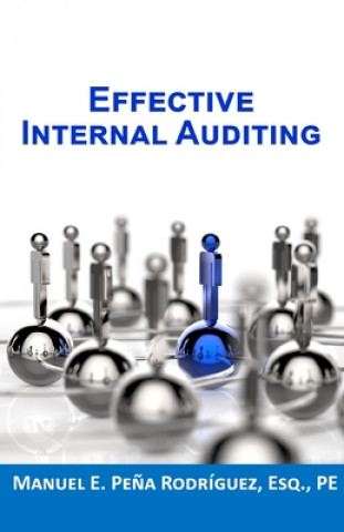 Knjiga Effective Internal Auditing MANU PE A-RODR GUEZ