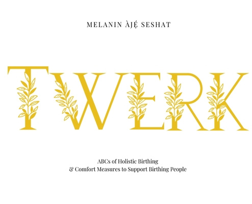 Knjiga Twerk Melanin Aje Seshat