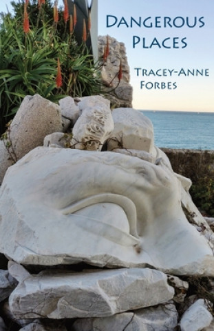 Knjiga Dangerous Places Tracey-Anne Forbes