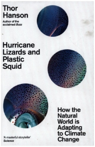 Carte Hurricane Lizards and Plastic Squid Thor Hanson