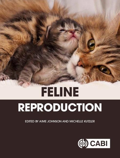 Kniha Feline Reproduction AIME JOHNSON