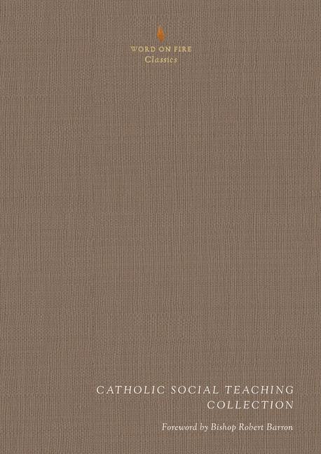 Knjiga Catholic Social Teaching Collection Daniel Seseske