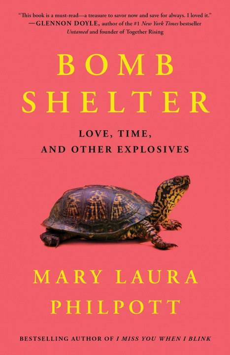 Kniha Bomb Shelter: Love, Time, and Other Explosives 