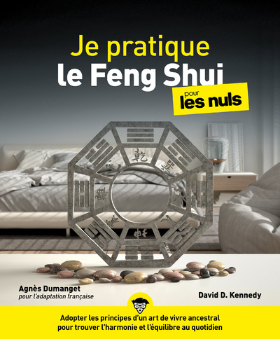 Книга Je pratique le Feng Shui pour les Nuls David Kennedy