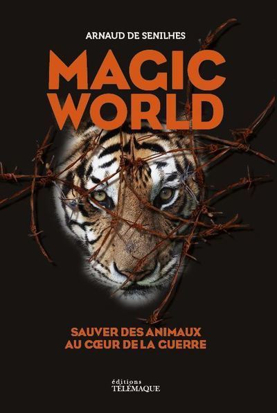 Knjiga Magic world Arnaud de Senilhes