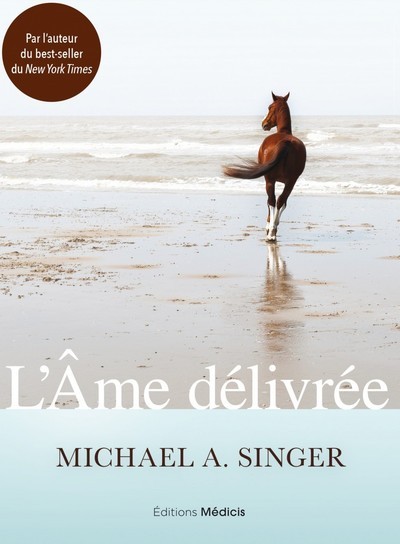 Kniha L'Ame délivrée Michael A. Singer