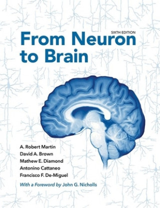 Kniha From Neuron to Brain 