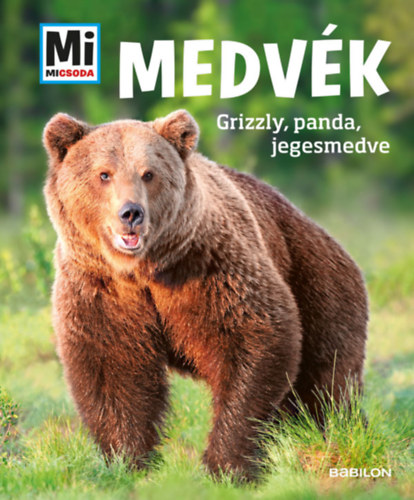 Boek Medvék Alexandra Mayer