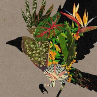 Audio (at)0 Various Artists