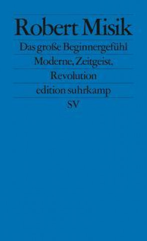 Book Das große Beginnergefühl Robert Misik