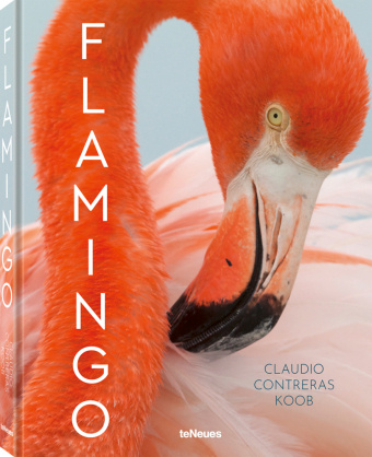 Книга Flamingo 