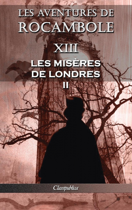 Книга Les aventures de Rocambole XIII 