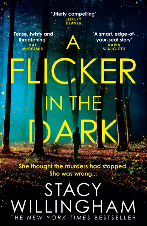 Książka Flicker in the Dark Stacy Willingham