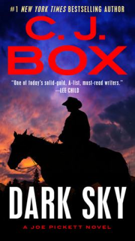 Buch Dark Sky C. J. Box
