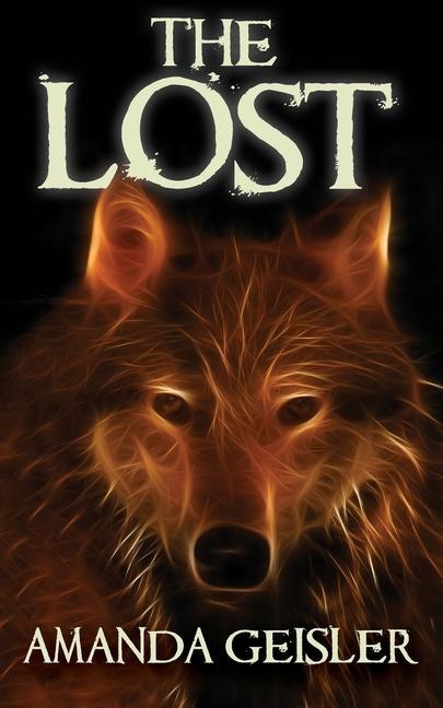 Livro Lost Amanda Geisler