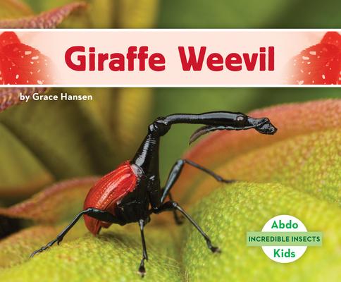 Knjiga Giraffe Weevil Grace Hansen