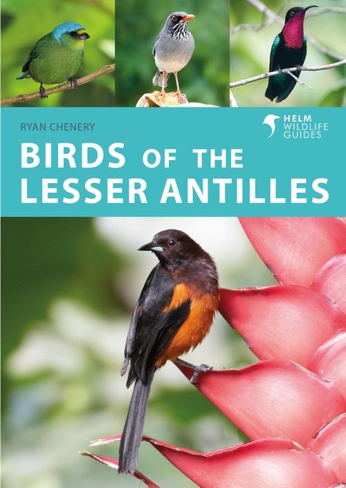 Kniha Birds of the Lesser Antilles Ryan Chenery