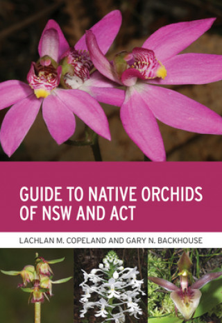 Kniha Guide to Native Orchids of NSW and ACT Lachlan M. Copeland