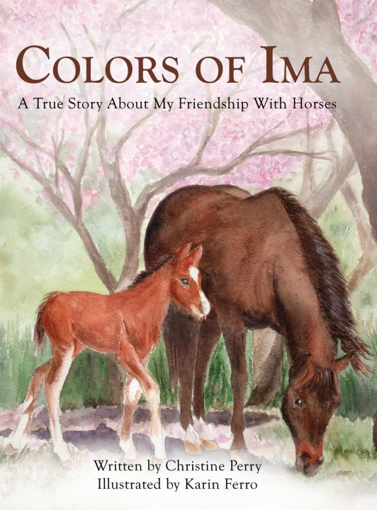 Kniha Colors of Ima 