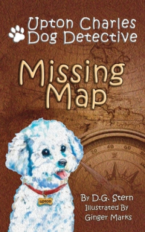 Knjiga Missing Map D. G. Stern
