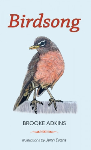 Knjiga Birdsong Jenn Evans