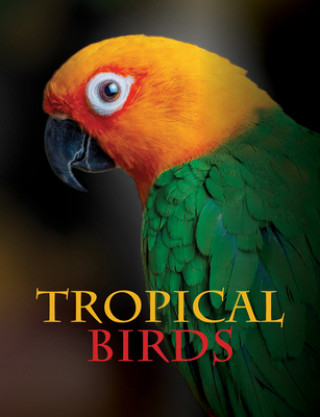Книга Tropical Birds 