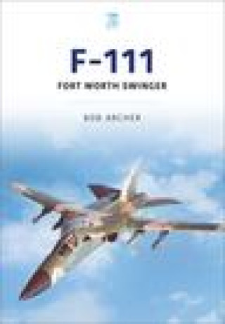 Kniha F-111 