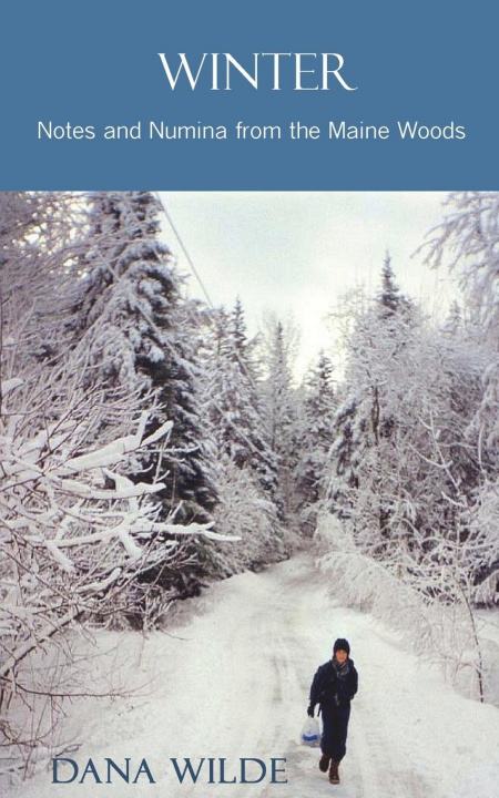 Book Winter Dana Wilde