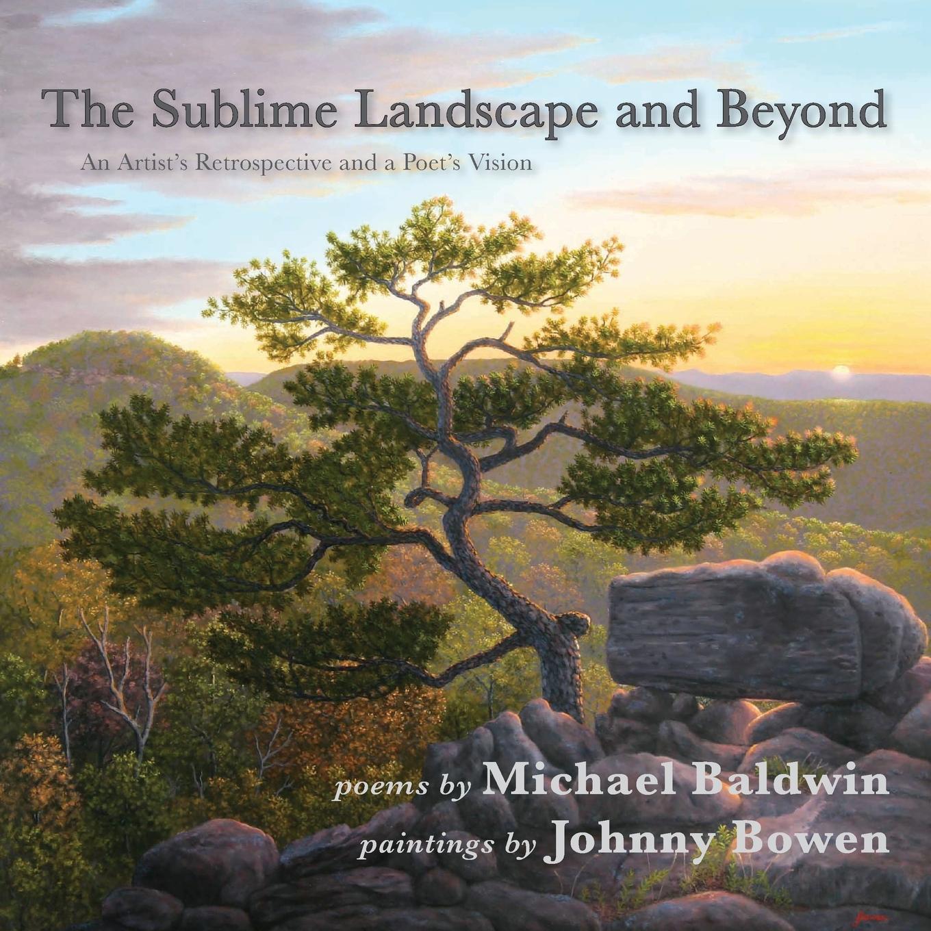 Knjiga Sublime Landscape and Beyond Michael Baldwin