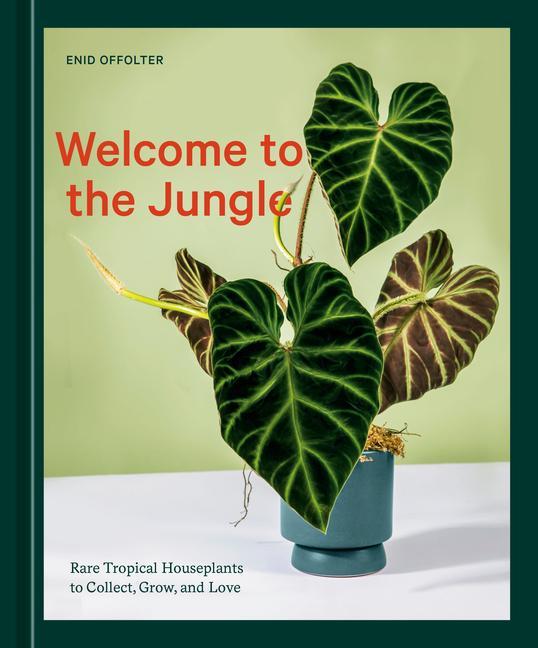 Carte Welcome to the Jungle 