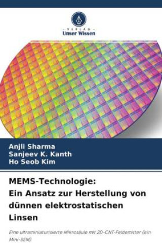 Kniha MEMS-Technologie Sanjeev K. Kanth