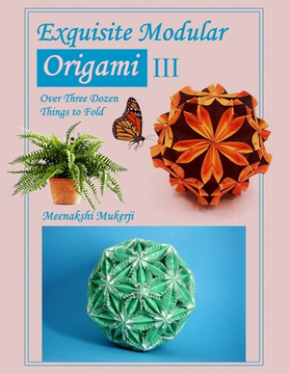 Könyv Exquisite Modular Origami III Meenakshi Mukerji
